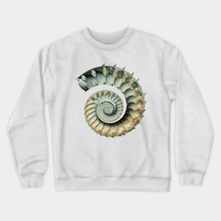 Fibonacci Sequence: Fibonacci Shell Art (on a Light Knocked Out Background) Crewneck Sweatshirt